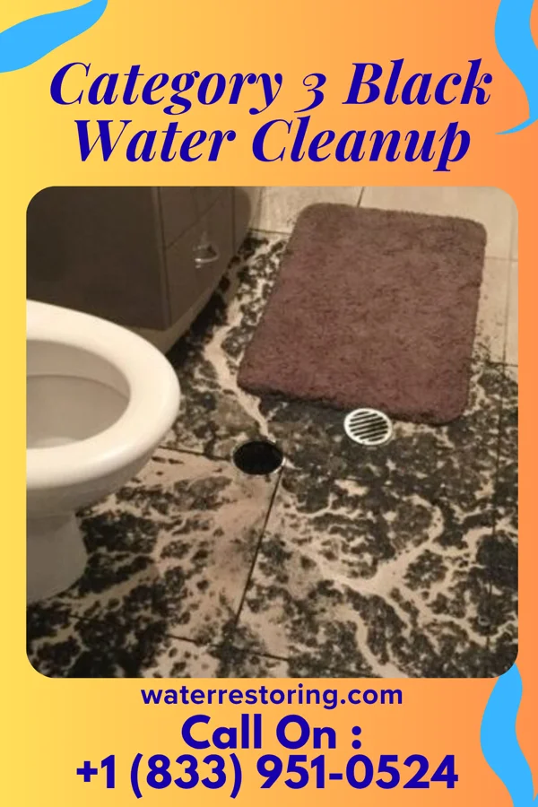 Category 3 Black Water Cleanup in Cuba City, WI