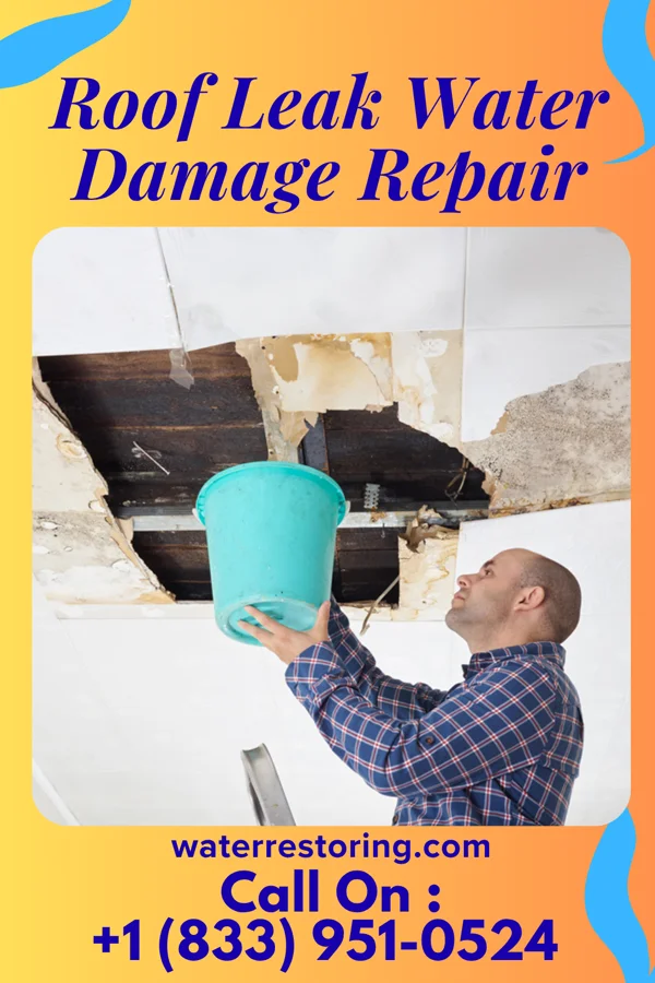 Roof Leak Water Damage Repair in Cuba City, WI